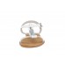 Женские босоножки Porronet 2107GUA BLANCO